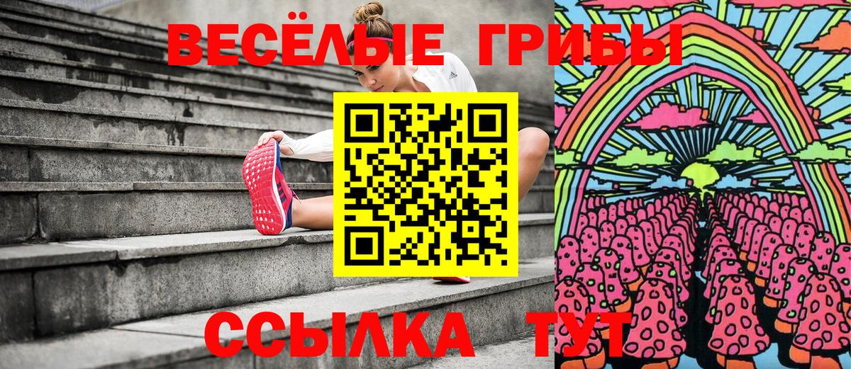 Псилоцибиновые грибы мицелий Хасавюрт