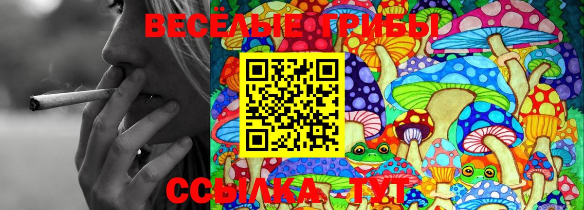 Хасавюрт  где купить   Вход с VPN  Псилоцибиновые грибы Cubensis 